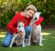 ON A MISSION: Frontier Pets founder and CEO Diana Scott with her bull terriers Franki and Mr Binks.