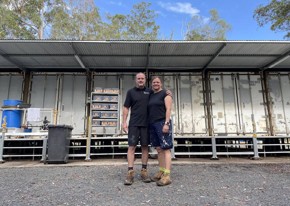 The O'Reilly's new shipping container set up is more efficient than the old grow rooms. Picture by Kate O'Neill