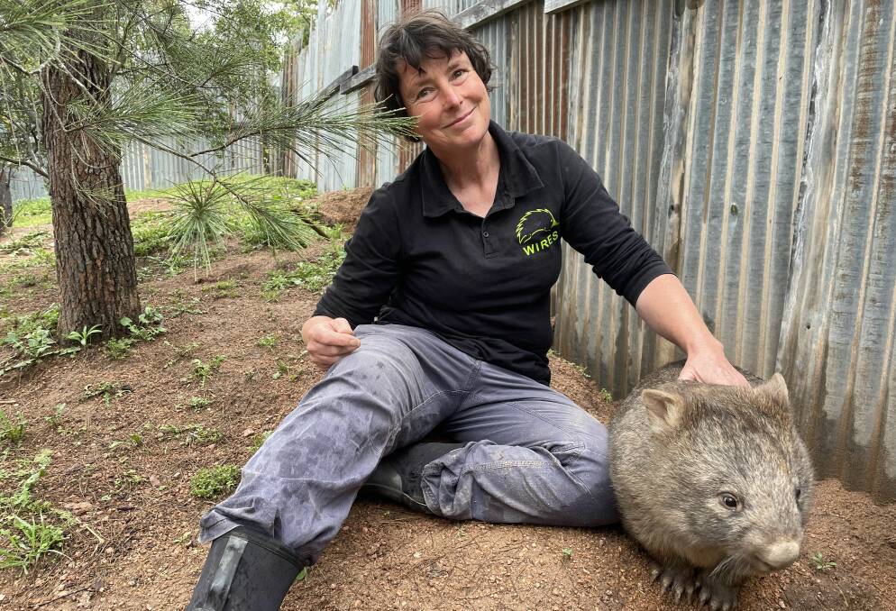 Anna Culliton wants a mange-free world for wombats. Photo: Laura Corrigan