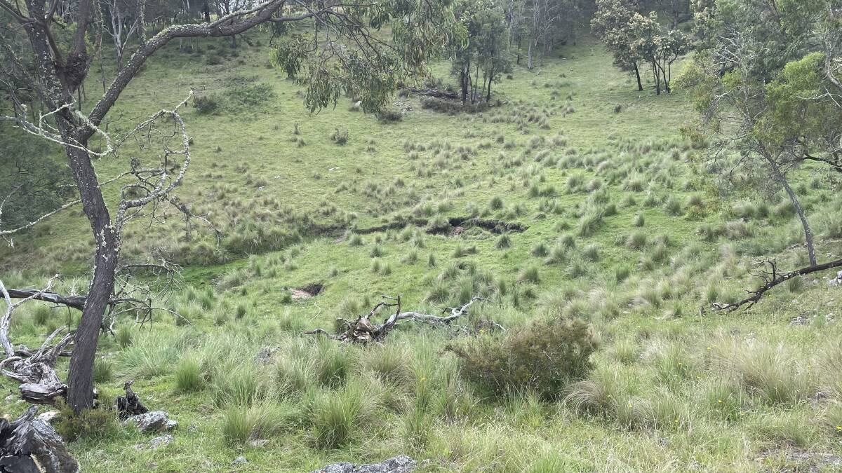 A collapsed wombat burrow system on the Allens' property in Megalong Valley. Photo: Laura Corrigan