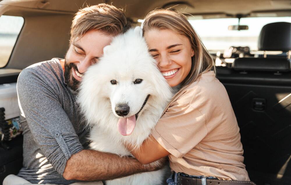 Have dog, will travel: Planning ahead to make sure your furry family members are safe and comfortable during long car journeys will ensure it's a fun trip for everyone.